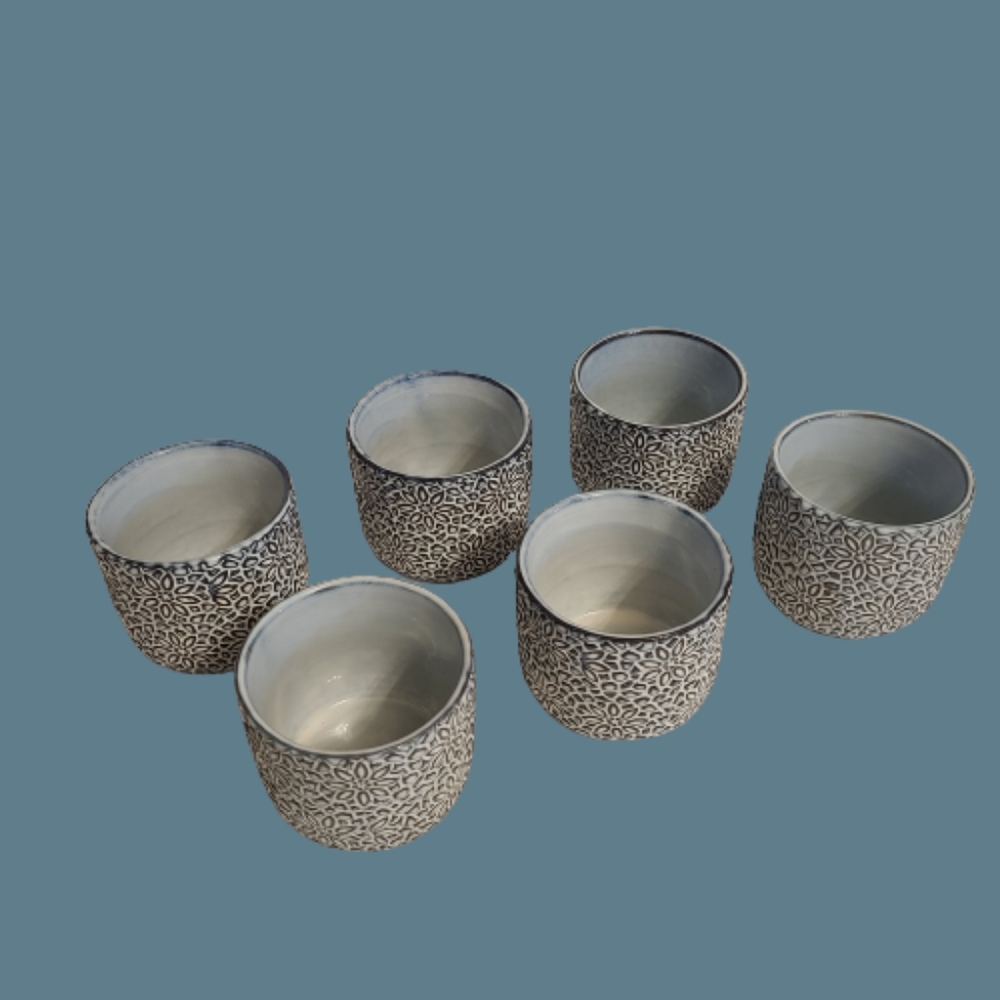 NWOT Set Of 6 Domaine Embossed Artisan Double Walled Tea Mugs